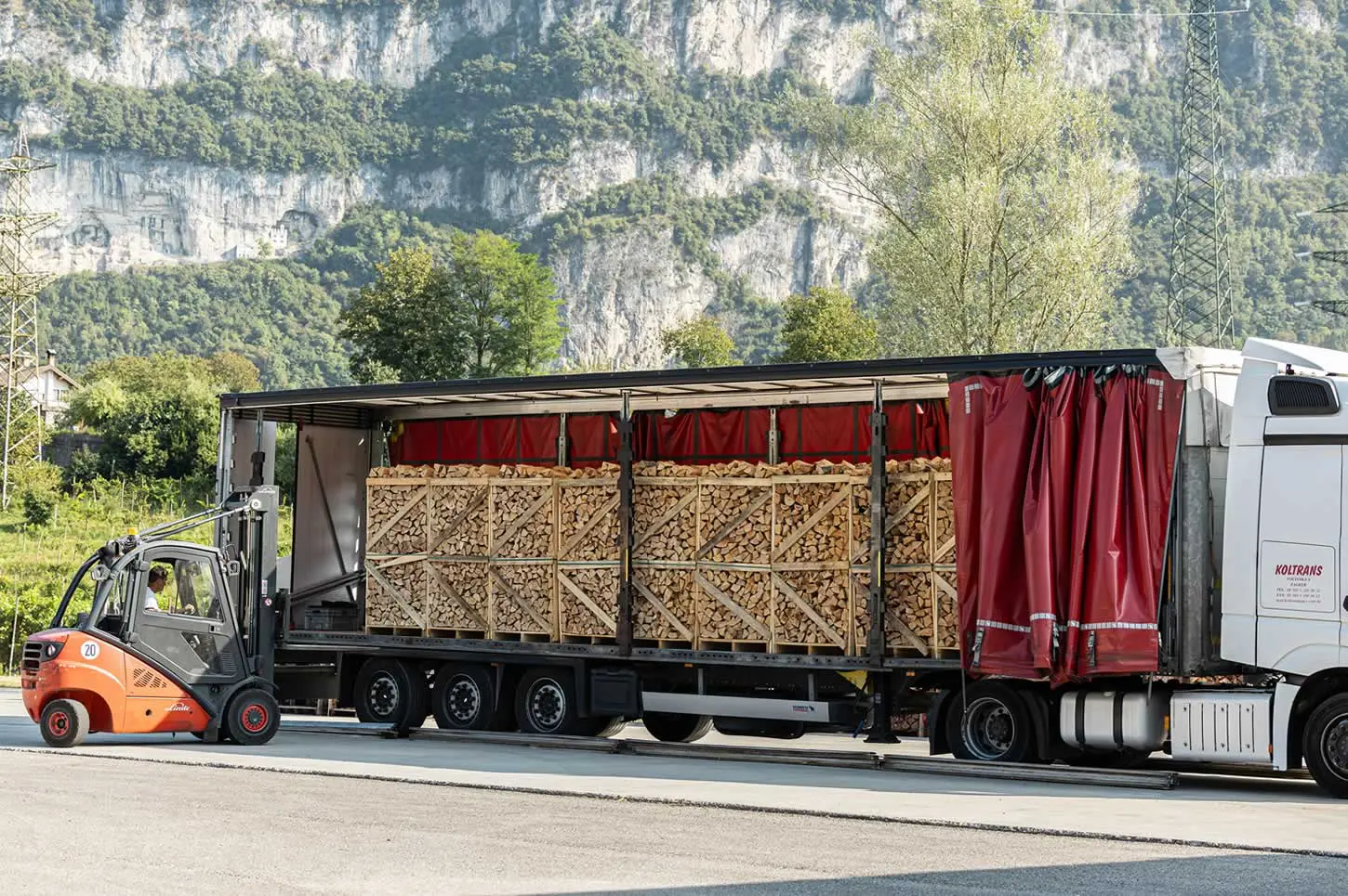 bancali legna belluno telo combustibili